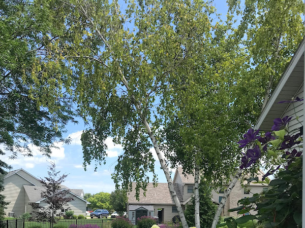 Yutka Fence Customer Review